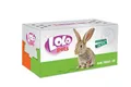 LOLOPets Transportbox aus Karton 27x13x13 cm