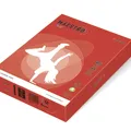 Weiteres Produktbild MAESTRO Farbe INTENSIV 160 g 250 Blatt Korallenrot - CO44
