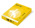 MAESTRO color INTENSIV 80g 500 Blatt Senf - IG50