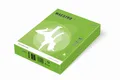MAESTRO color INTENSIV 80g 500 Blatt Frühlingsgrün - MA42