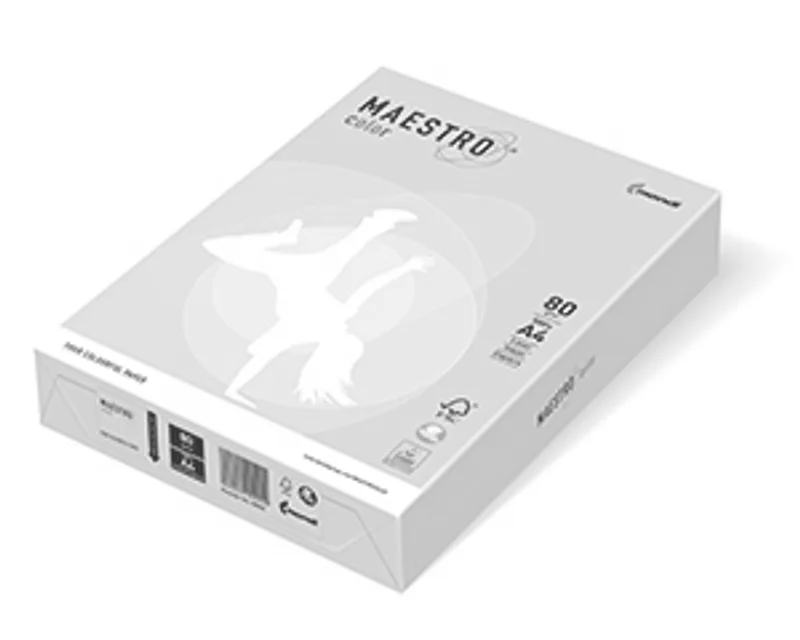 Hauptbild des Produkts MAESTRO color PASTELL 80g 500 listů Salmon - SA24