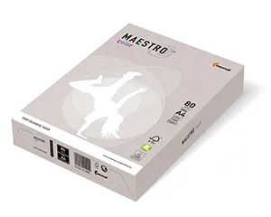 MAESTRO color TREND 160 g 250 Blatt Grau - GR21