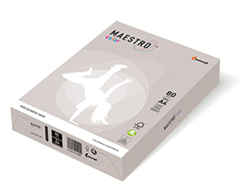 Hauptbild des Produkts MAESTRO color TREND 160g 250 listů Grey - GR21