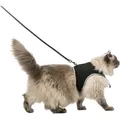 Softgeschirr mit Leine für Katze XL 36-54cm / 1,20m schwarz