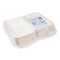 Lunch-Box Zuckerrohr-Bagasse ungeteilt 250 x 162 x 63 mm [50 St.]