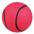 Weiteres Produktbild Ball Moosgummi 55mm TRIXIE