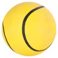 Weiteres Produktbild Ball Moosgummi 70mm TRIXIE