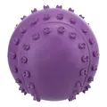 Weiteres Produktbild Ball mit Spikes und Sound 6 cm