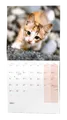Wandkalender - Katzen