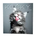 Wandkalender - Katzen