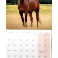 Weiteres Produktbild Wandkalender - Pferde