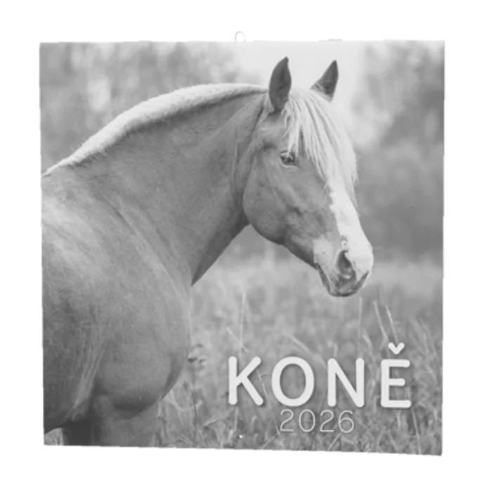 Hauptbild des Produkts Nástěnný kalendář - Koně