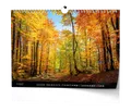 Wandkalender - Wald