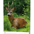 Weiteres Produktbild Wandkalender - Jägerkalender - A3