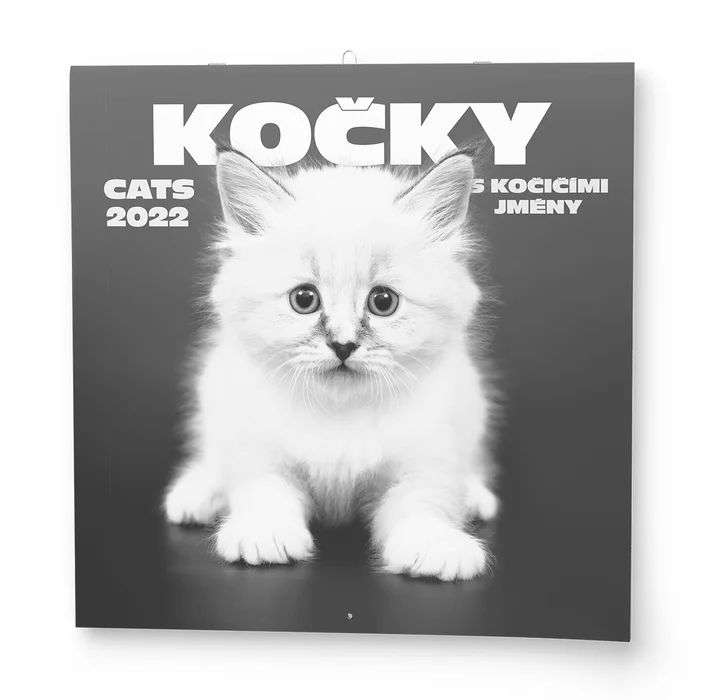 Hauptbild des Produkts Nástěnný kalendář - Poznámkový - Kočky