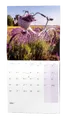 Wandkalender - Provence