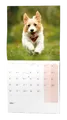 Wandkalender - Welpen