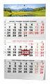 Wandkalender - Dreimonatskalender - A3 (mit internationalen Feiertagen) - schwarz - Natur