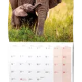 Weiteres Produktbild Wandkalender - Tierchen