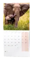 Wandkalender - Tierchen