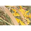 Natur Snack - Heurolle mit Blumen, 500g