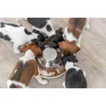 Weiteres Produktbild Edelstahlnapf für Welpen 4,0 l / 38 cm