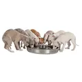 Edelstahlnapf für Welpen 4,0 l / 38 cm