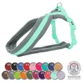 Weiteres Produktbild Nylongeschirr PREMIUM gefüttert – Königsblau S: Brustumfang: 35–50 cm/20 mm