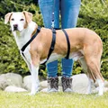 Weiteres Produktbild STAY-Nylongeschirr (Fluchtschutz) S-M: Brustumfang: 40–65 cm/15 mm