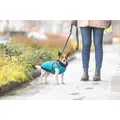 Weiteres Produktbild PONTIS Anzug - Weste mit Geschirr, türkis XS: 27cm, Brustumfang: 42-46cm, Halsumfang: 32cm