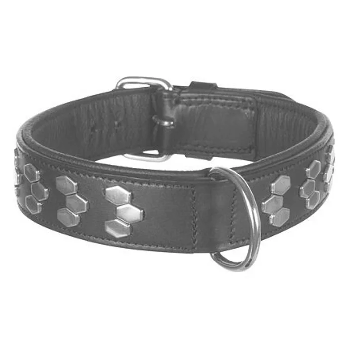 Hauptbild des Produkts Obojek ACTIVE kožený - černý L-XL:55-65cm/40mm