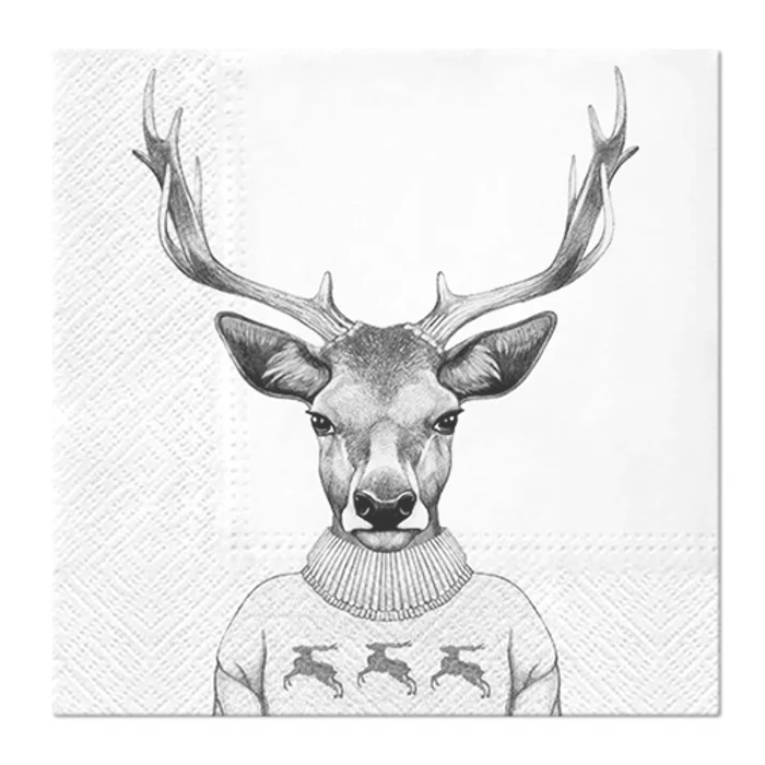 Hauptbild des Produkts Obrúsky PAW L 33x33cm King Of Forest