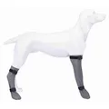 Weiteres Produktbild Schutzsocke aus Silikon, grau L: 10 cm/40 cm, zB Golden Retriever