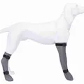 Weiteres Produktbild Schützende Silikonsocke, grau S: 6 cm/30 cm, z.B. Jack Russel Terrier