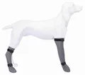 Schützende Silikonsocke, grau S: 6 cm/30 cm, z.B. Jack Russel Terrier