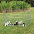 Laufstall für Welpen 8 Teile je 60x91cm