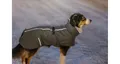 Weiteres Produktbild Outdoor-Jacke LIMOUX, steingrau S: 40 cm, Brust: 56-68 cm, Hals: 26-44 cm