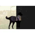 Weiteres Produktbild Outdoor-Jacke LIMOUX Reflect, mehrfarbig L: 55 cm, Brust: 72-84 cm, Hals: 36-56 cm
