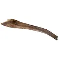 Papahholz - Palmblatt 50-65 cm für kletternde Reptilien (6 Stk)