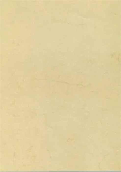 Hauptbild des Produkts Papír, textura Havana, A4, 90 g, APLI [100 listů]