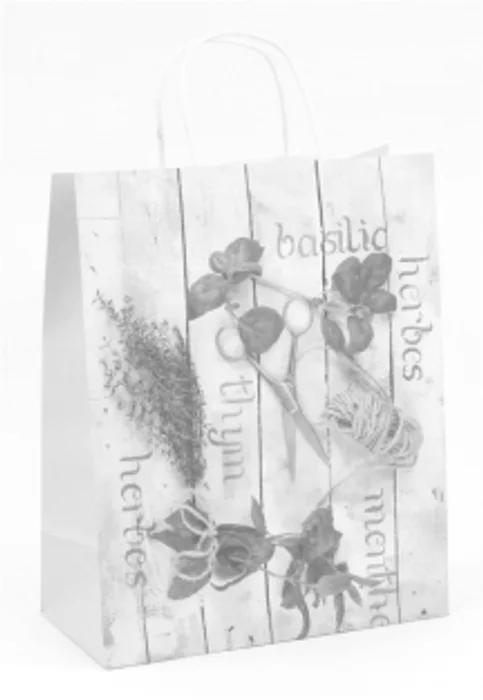 Hauptbild des Produkts Papírová taška dárková 26x12x34,5 cm herbář