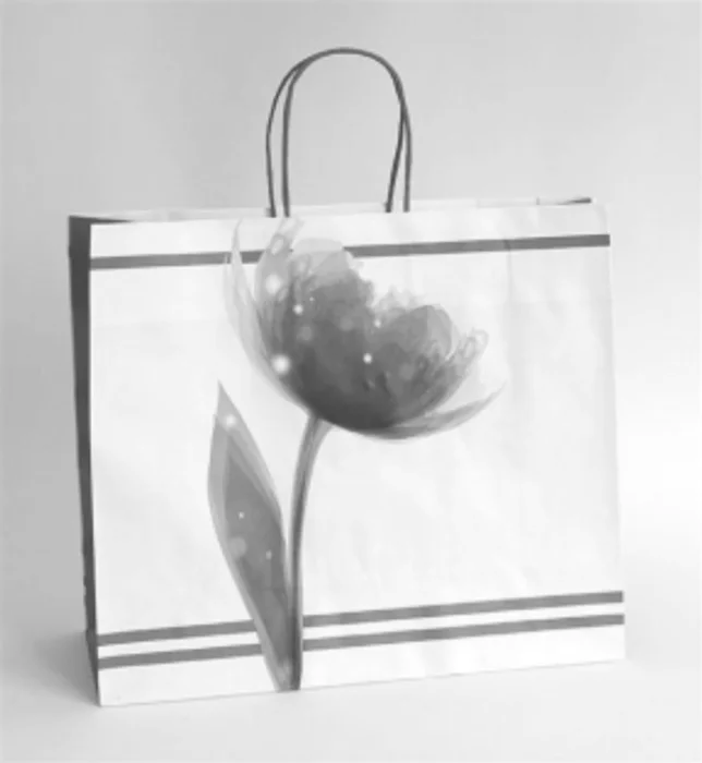 Hauptbild des Produkts Papírová taška dárková 35x13x31 cm tulipán