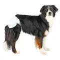 Weiteres Produktbild Papierwindeln für Hündinnen (12 Stück/Packung) XL: 40-58 cm