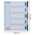 Esselte Kunststoff-Farbtrenner, A4 Maxi, Farbmix