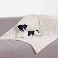 Weiteres Produktbild Plüschdecke KENNY, beige mit Knochen und Pfoten 75 x 50 cm