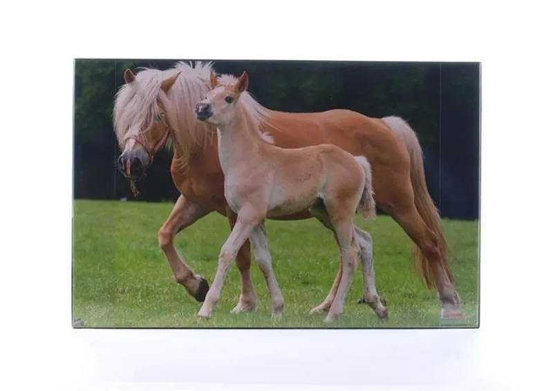 Hauptbild des Produkts Podložka na stůl "Koně", 580x380 mm, LS