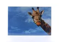 Tischunterlage "Giraffe", 580x380 mm, LS