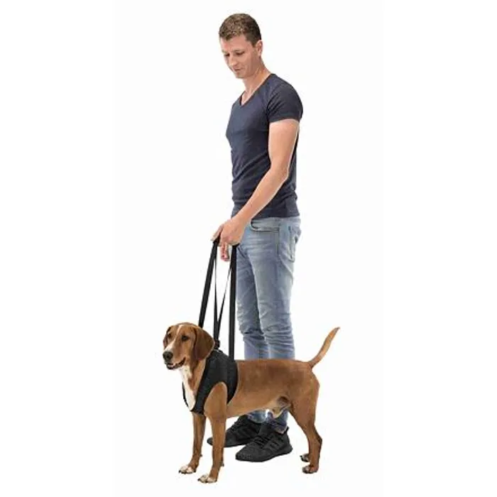 Hauptbild des Produkts Podpůrná pomůcka k chůzi L-XL 75-85 cm černá