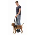 Weiteres Produktbild Stützhilfe beim Gehen M 55-65 cm schwarz