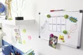 Whiteboard- und Flipchart-Marker "250", rot, 1-3 mm, kegelförmige Spitze, EDDING